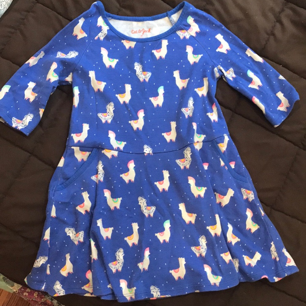 3/4 sleeve Llama dress with pockets
